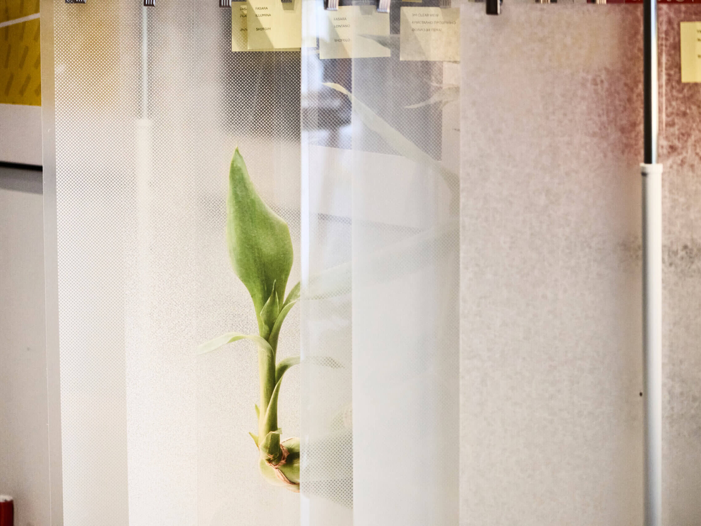 Footage from the Redesign event organized by Partners and AIDB